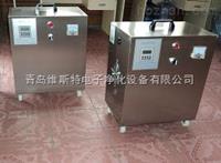 泉州食品廠臭氧發(fā)生器廠家